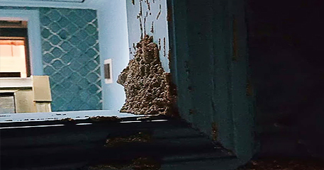 Termite Damage, Termite Control, Big Pine Key, FL
